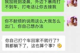 成县私家调查